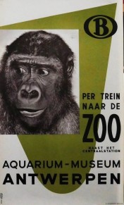Zoo Anvers2.jpg